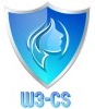 W3-CS World Wide Women in Cyber Security